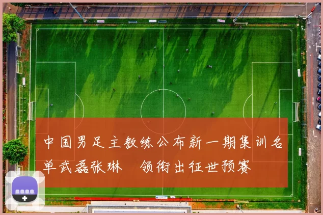 中国男足主教练公布新一期集训名单武磊张琳芃领衔出征世预赛