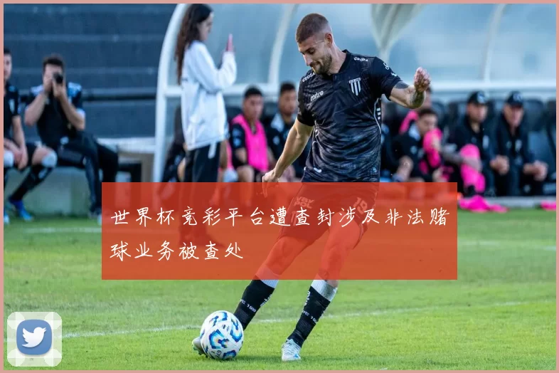世界杯竞彩平台遭查封涉及非法赌球业务被查处