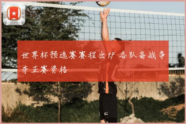 世界杯预选赛赛程出炉 各队备战争夺正赛资格